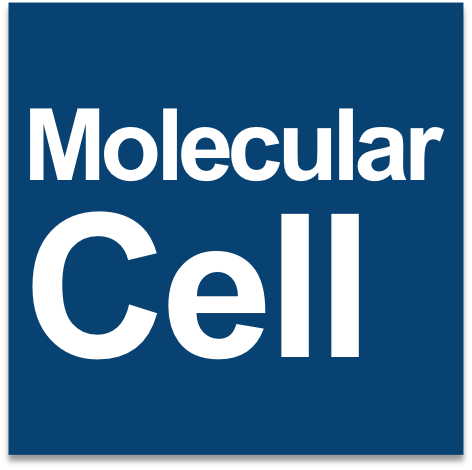 Molecular Cell